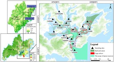 Ecosystem health assessment: a PSR analysis combining AHP and EW methods for Sansha Bay, China